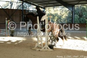 Poney_2_CSO_17h47_177.jpg