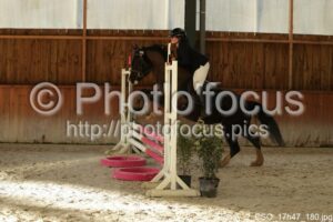 Poney_2_CSO_17h47_180.jpg