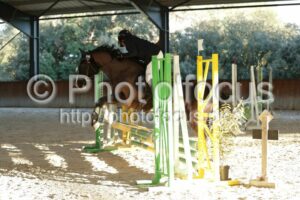 Poney_2_CSO_17h47_181.jpg