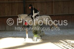 Poney_2_CSO_17h49_185.jpg