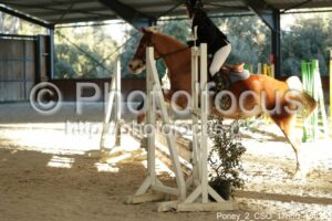 Poney_2_CSO_17h50_188.jpg