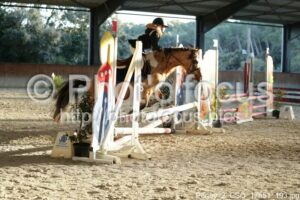 Poney_2_CSO_17h51_193.jpg
