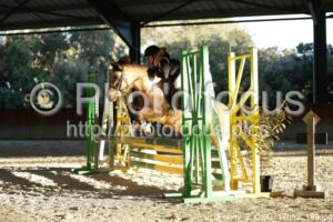 Poney_2_CSO_17h52_199.jpg