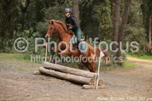 Poney_2_Cross_10h20_001.jpg