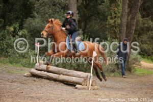 Poney_2_Cross_10h26_015.jpg