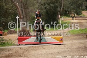Poney_2_Cross_10h26_016.jpg