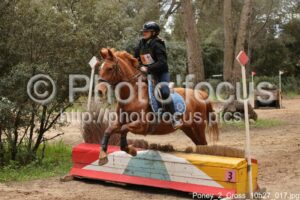 Poney_2_Cross_10h27_017.jpg