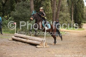 Poney_2_Cross_10h28_018.jpg