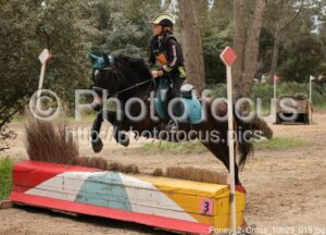 Poney_2_Cross_10h29_019.jpg