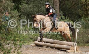 Poney_2_Cross_10h29_020.jpg