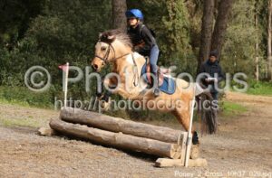 Poney_2_Cross_10h37_029.jpg