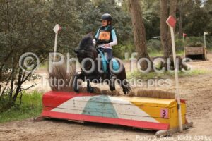 Poney_2_Cross_10h39_034.jpg