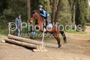 Poney_2_Cross_10h41_036.jpg