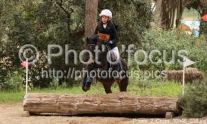 Poney_2_Cross_10h46_038.jpg