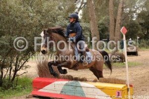 Poney_2_Cross_10h50_043.jpg
