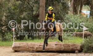 Poney_2_Cross_10h56_047.jpg