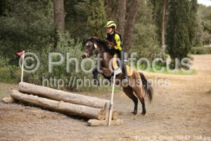 Poney_2_Cross_10h57_048.jpg
