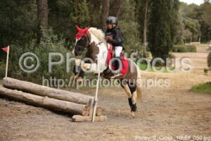 Poney_2_Cross_10h58_050.jpg