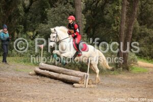 Poney_2_Cross_10h59_051.jpg