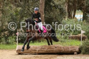 Poney_2_Cross_11h02_053.jpg