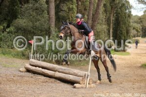 Poney_2_Cross_11h06_060.jpg