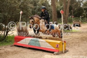 Poney_2_Cross_11h07_063.jpg