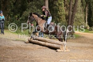Poney_2_Cross_11h10_065.jpg