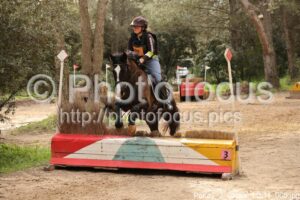 Poney_2_Cross_11h11_066.jpg