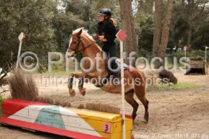 Poney_2_Cross_11h16_071.jpg
