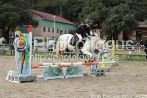 Poney_Elite_CSO_09h02_002.jpg