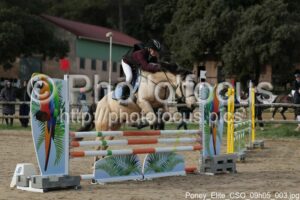 Poney_Elite_CSO_09h05_003.jpg