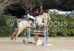 Poney_Elite_CSO_09h06_005.jpg