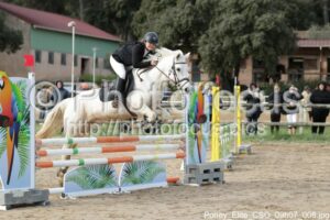 Poney_Elite_CSO_09h07_008.jpg