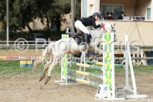 Poney_Elite_CSO_09h07_011.jpg