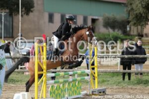 Poney_Elite_CSO_09h11_025.jpg