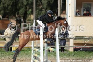 Poney_Elite_CSO_09h11_026.jpg