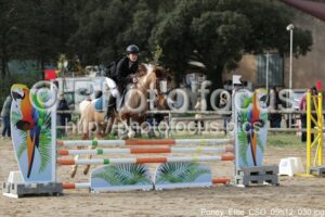 Poney_Elite_CSO_09h12_030.jpg