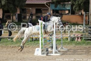 Poney_Elite_CSO_09h14_037.jpg