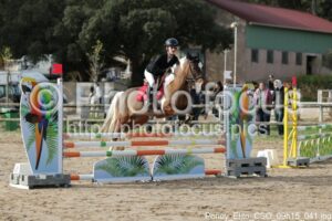 Poney_Elite_CSO_09h15_041.jpg