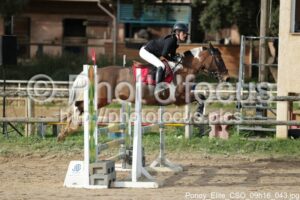 Poney_Elite_CSO_09h16_043.jpg