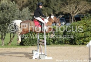 Poney_Elite_CSO_09h16_044.jpg