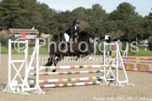 Poney_Elite_CSO_09h17_046.jpg