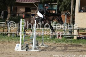 Poney_Elite_CSO_09h17_049.jpg