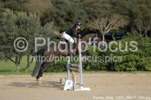 Poney_Elite_CSO_09h17_050.jpg