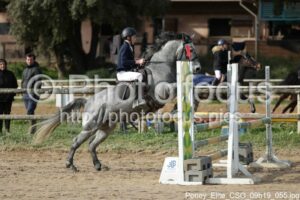 Poney_Elite_CSO_09h19_055.jpg