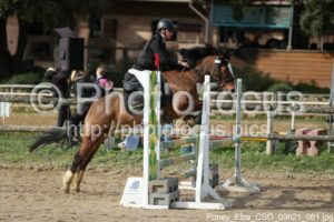 Poney_Elite_CSO_09h21_061.jpg