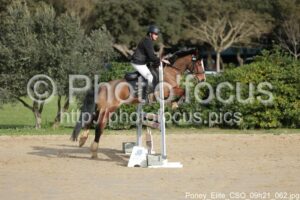 Poney_Elite_CSO_09h21_062.jpg