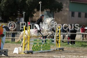 Poney_Elite_CSO_09h23_066.jpg