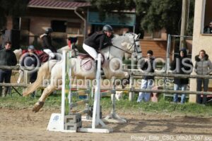 Poney_Elite_CSO_09h23_067.jpg