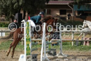 Poney_Elite_CSO_09h25_073.jpg